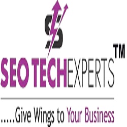 SEO Tech Experts Pvt Ltd