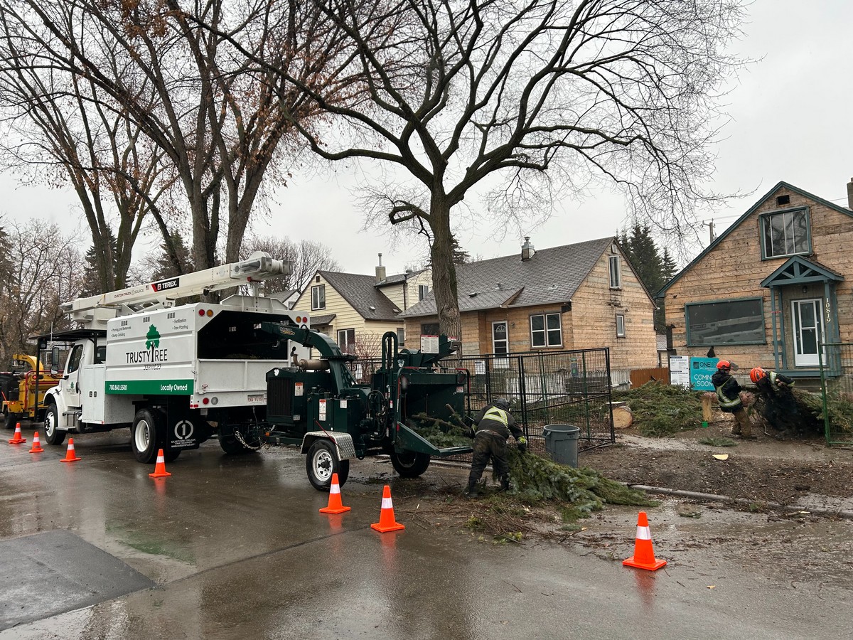 Trusty Tree Services