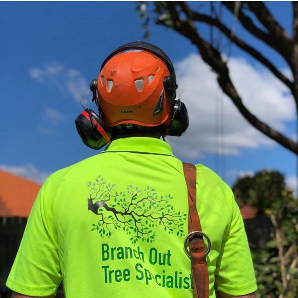 Tree Lopping Sydney North Shore