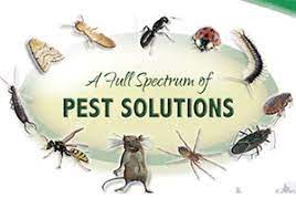Spectrum Pest Control