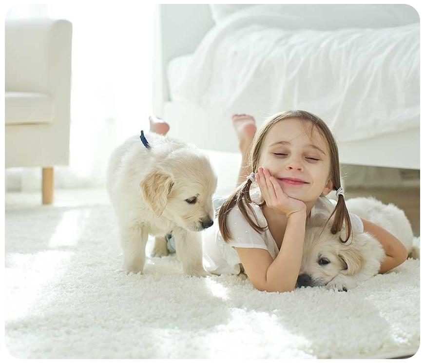 Eaglesprings Carpet Cleaning Whistler