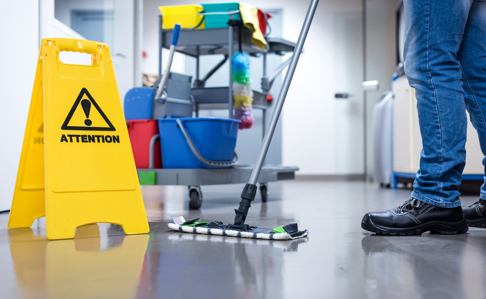 Carpet Cleaning Services in Fairfield CT