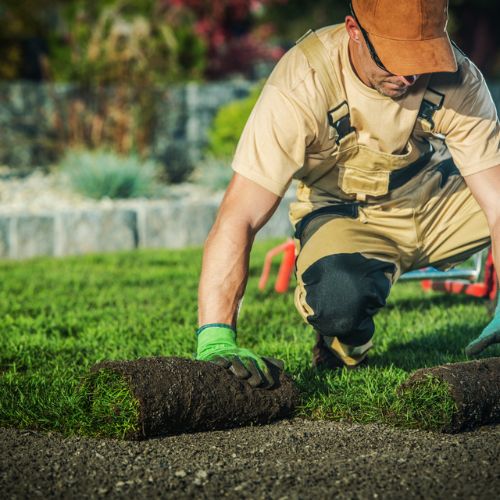 Green Dog Lawn Care LLC