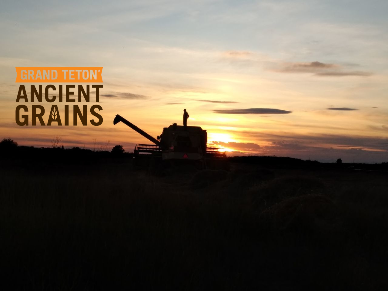 Buy Ancient Flours Grains, and, Berries from Grand Teton Ancient  &hellip;