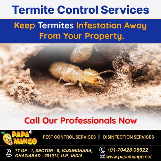 Reliable Termite Control Services
