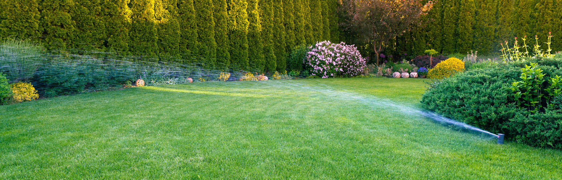 Spartan Property Services