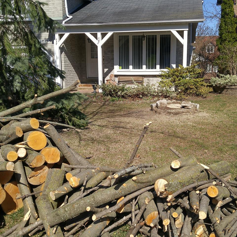 Pickering Tree Solutions
