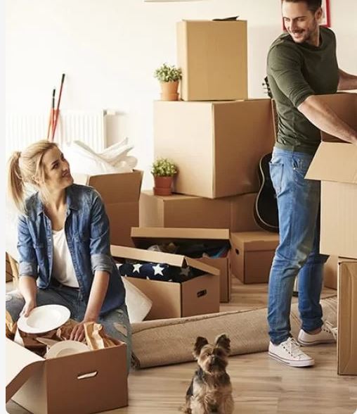 Alpine Movers Inc