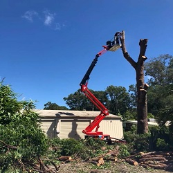 Big River Tree Services