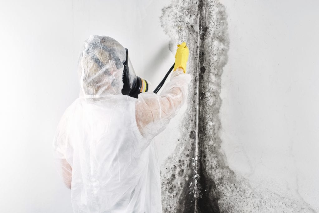 Daxion – Miami Mold & Water Specialist