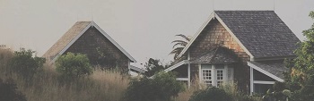 Tree Service Specialists of Roseville