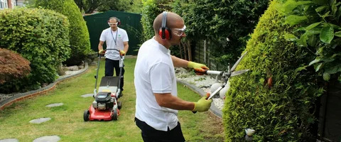 Mcauley Tree Surgery