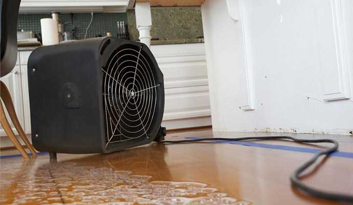 Best Cleaning and Disaster Restoration Services