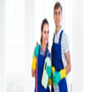 Tailor Maid Cleaning