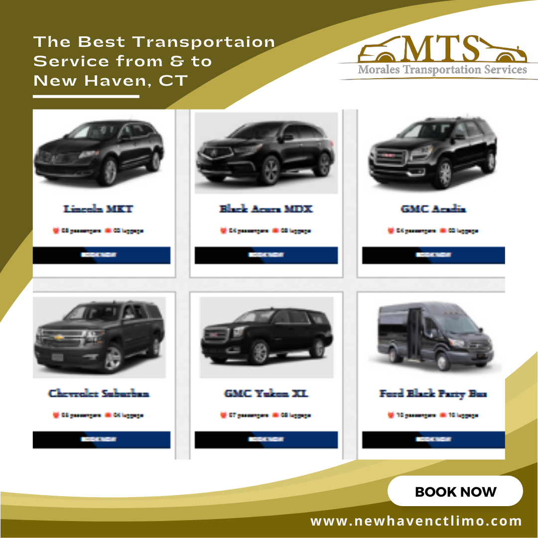 Morales Transportation Services LLC