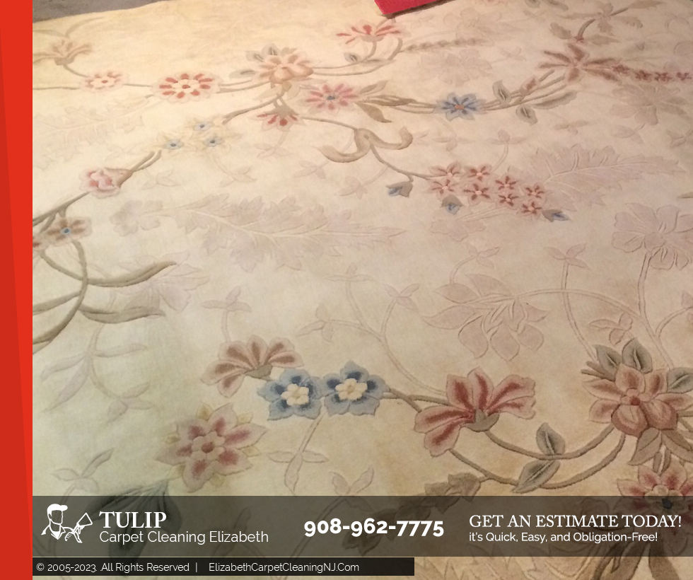 Tulip Carpet Cleaning Elizabeth