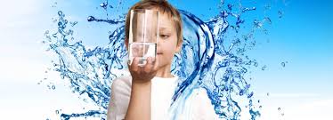 Purest Water Filtration: Your Trusted Water Filter Central Coast