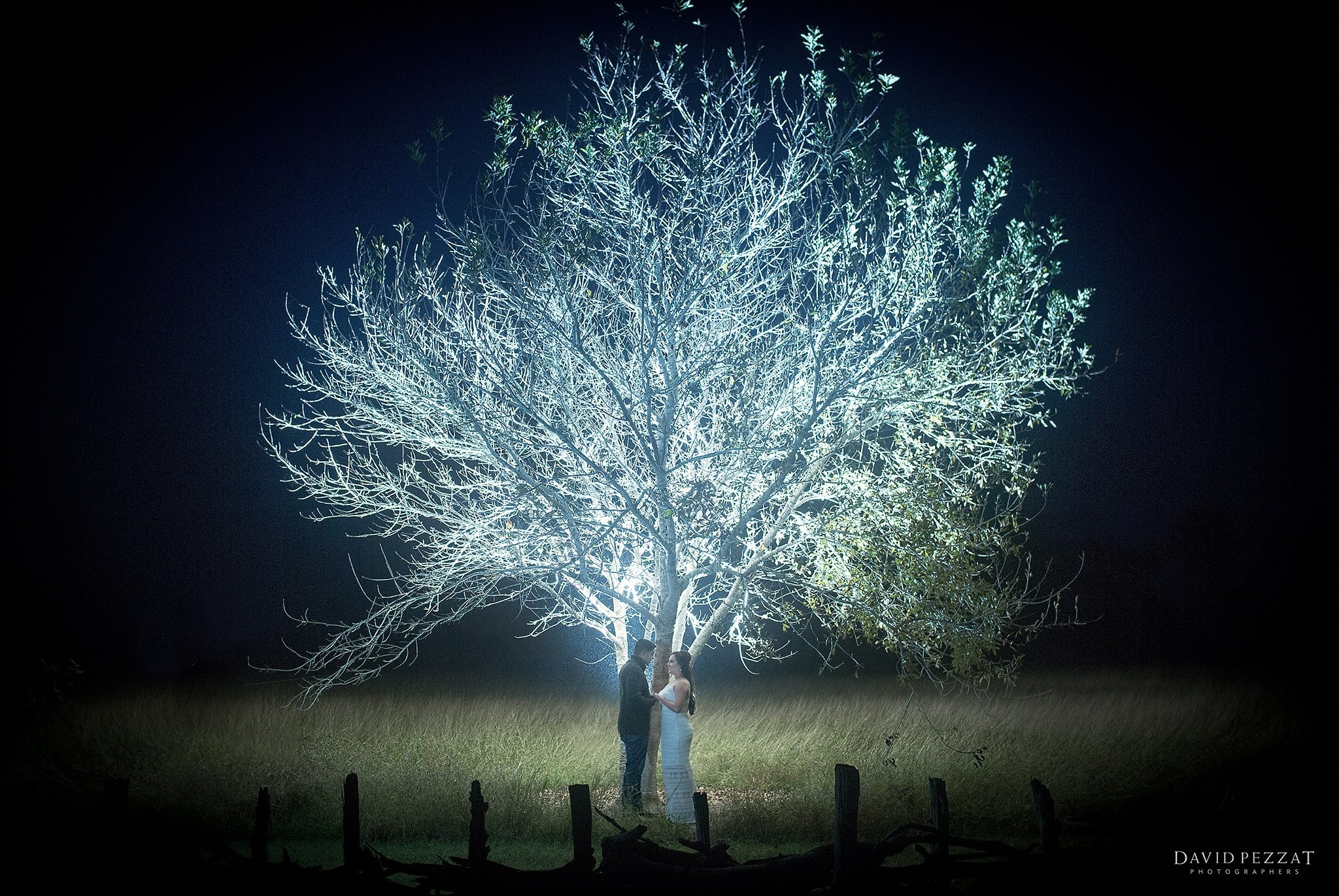 David Pezzat Photographers