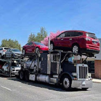 N-Motion Auto Transport