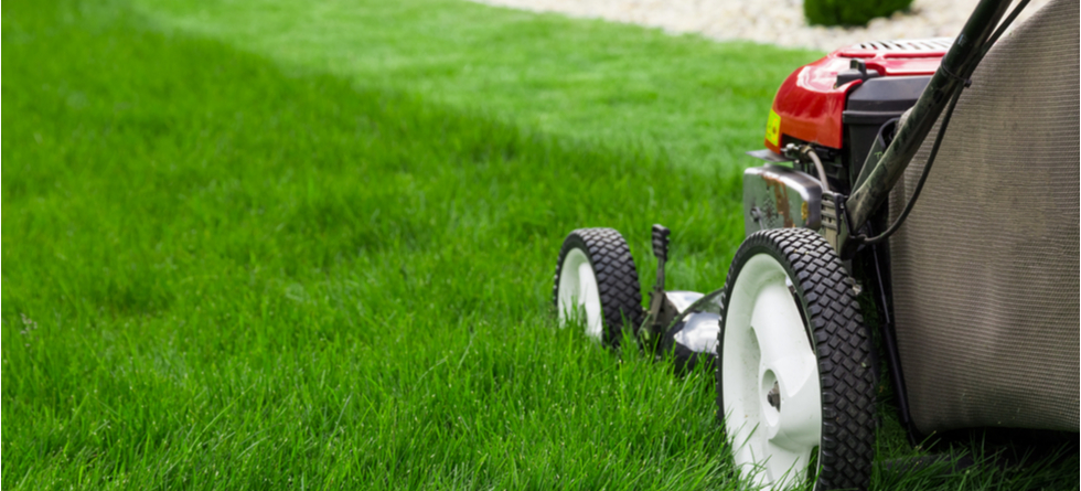 ProCurb Landscaping LLC