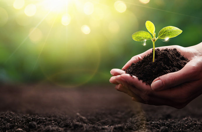 Raising Responsible Citizens
