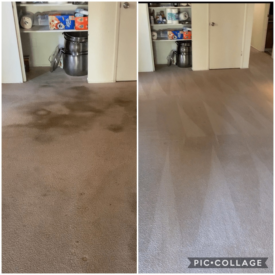 Steam Master DFW Carpet & Tile Cleaning