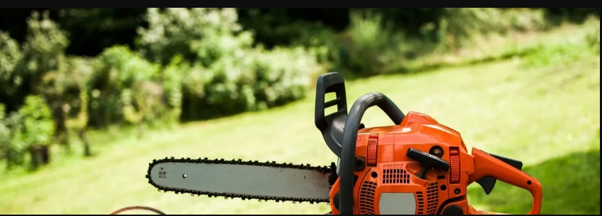 Scott's Treewurk – Tree Services