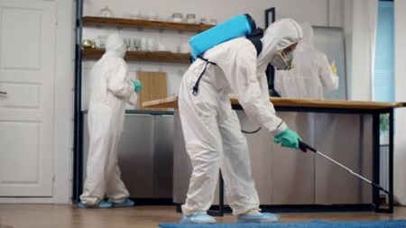 Denton, Texas Pest Exterminators