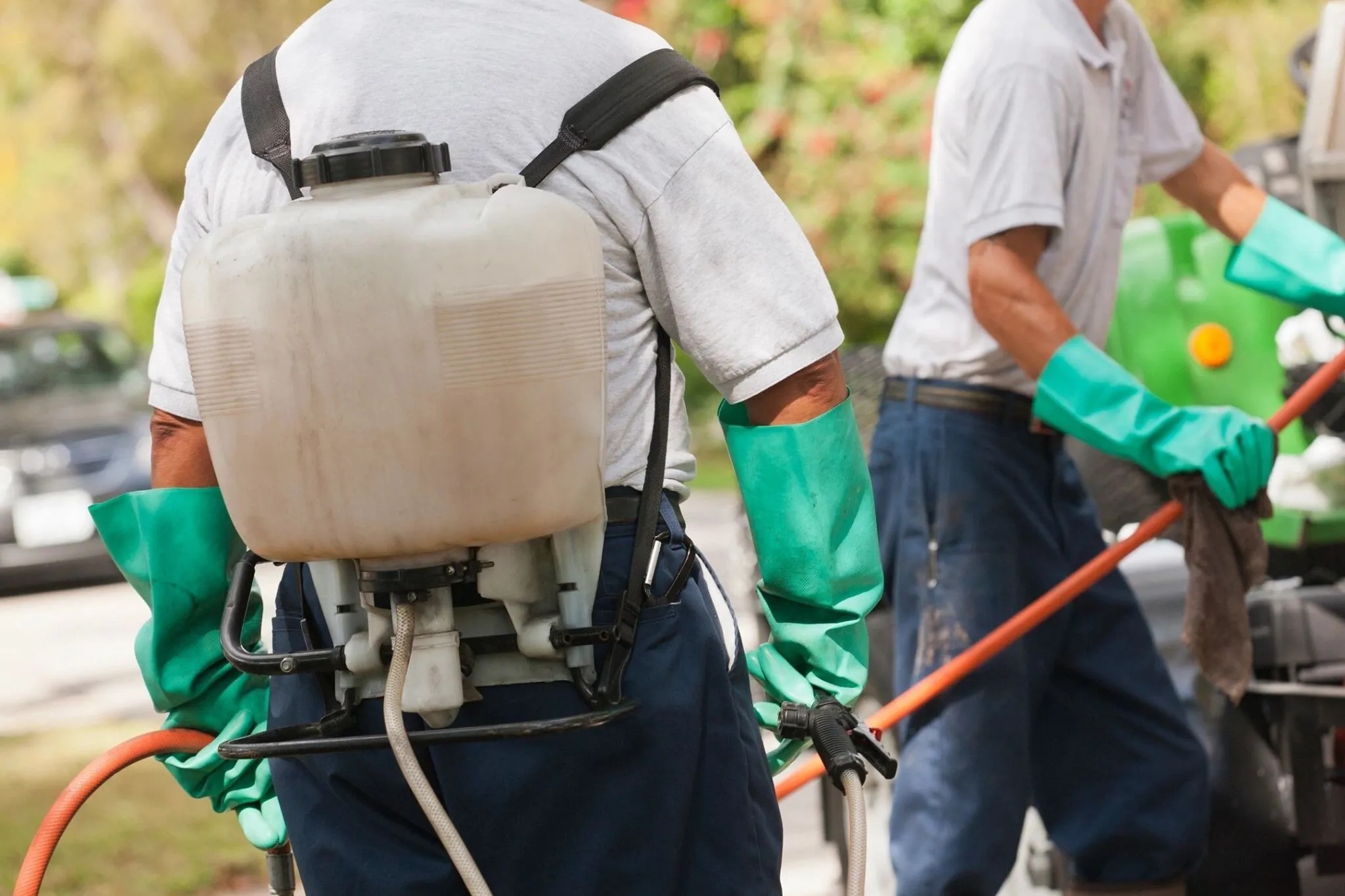 RightWay Pest & Home Services