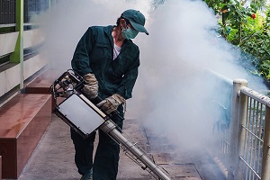 Pest Control Services | Company in Singapore & Johor