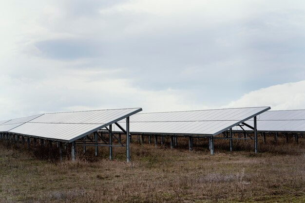 Solar Green Nature