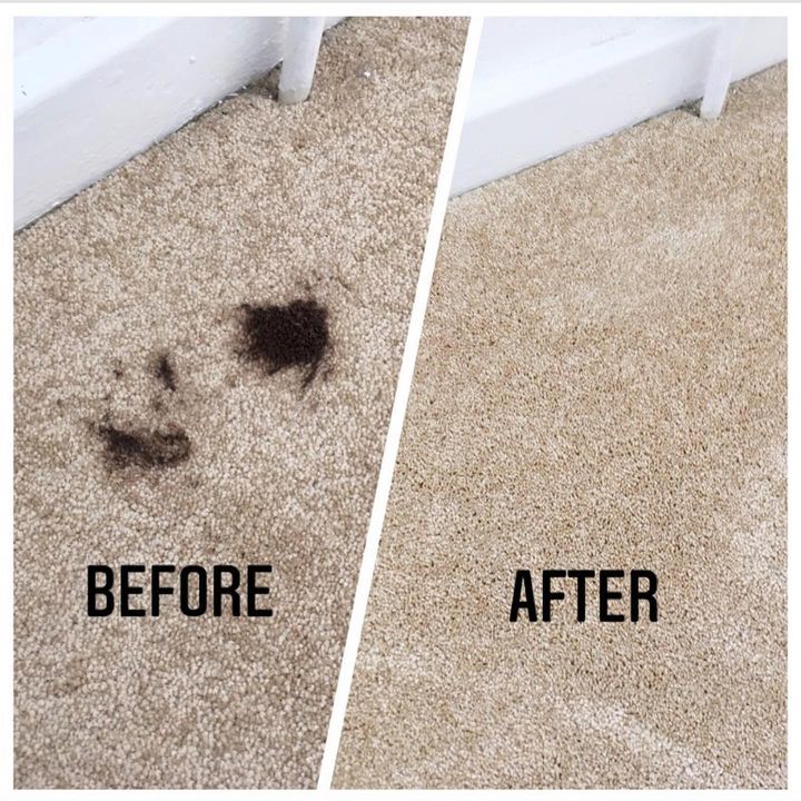Premier Carpet Cleaning