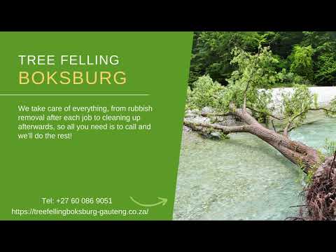 Tree Felling Boksburg