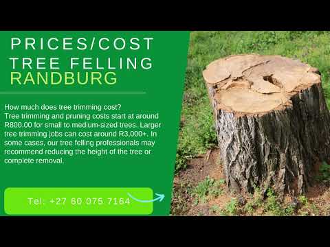 Tree Felling Randburg
