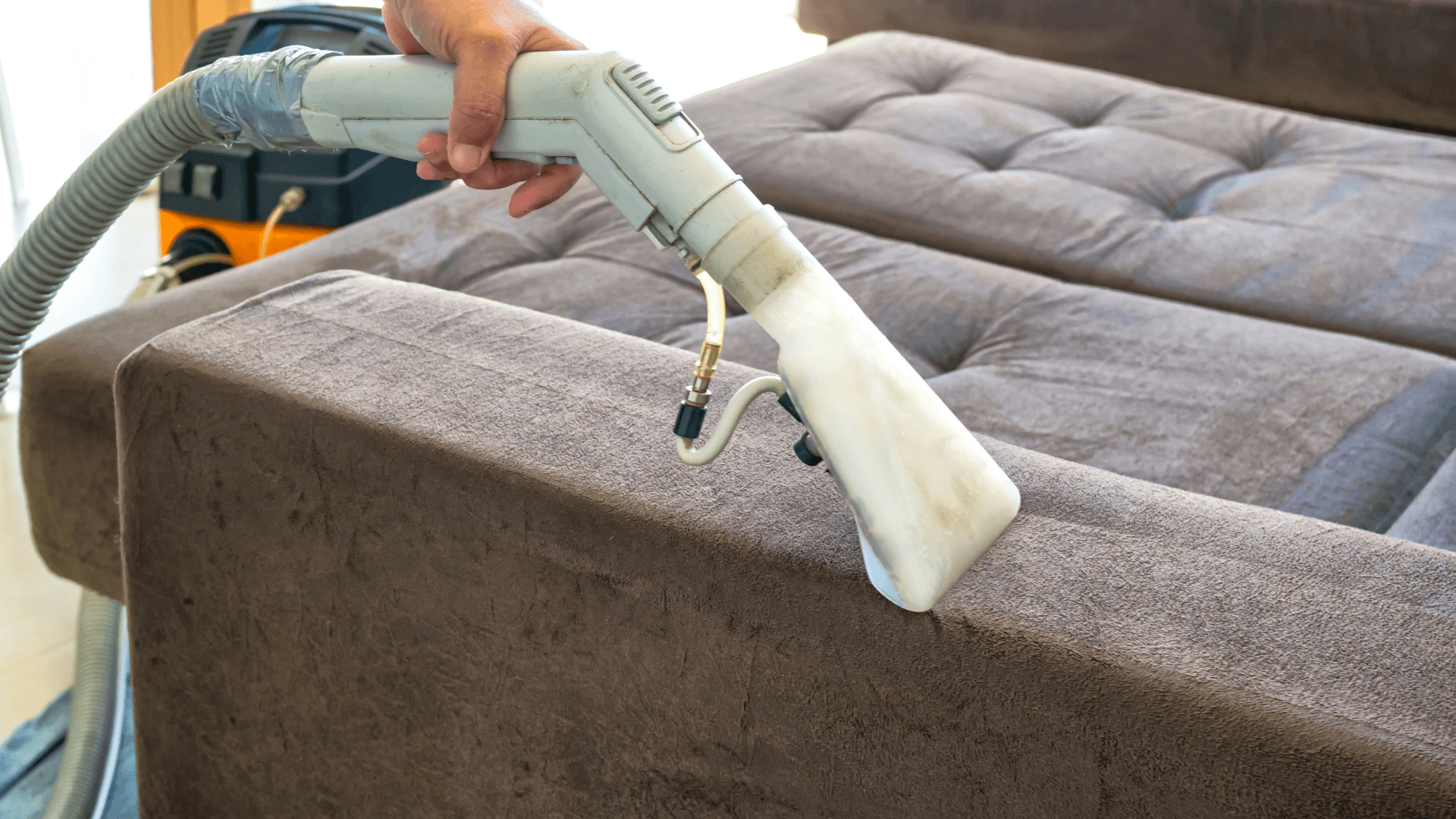 Superior Carpet Cleaning
