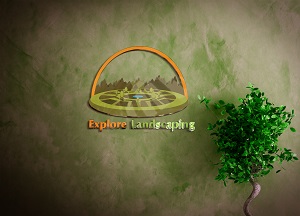 Explore Landscaping