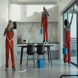 Spanish Fork House Cleaners