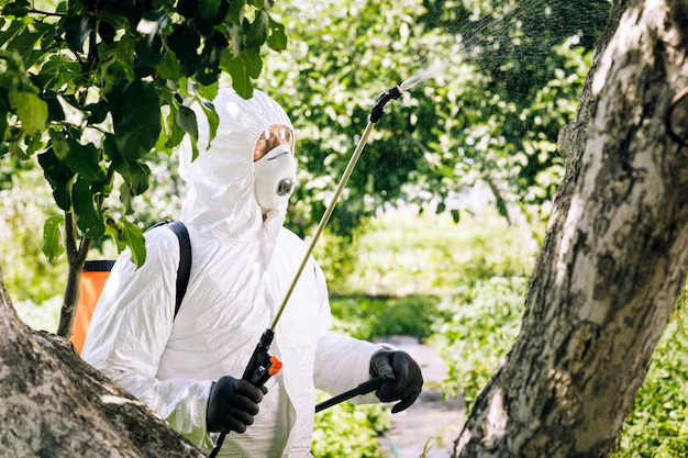 Charlotte Exterminating
