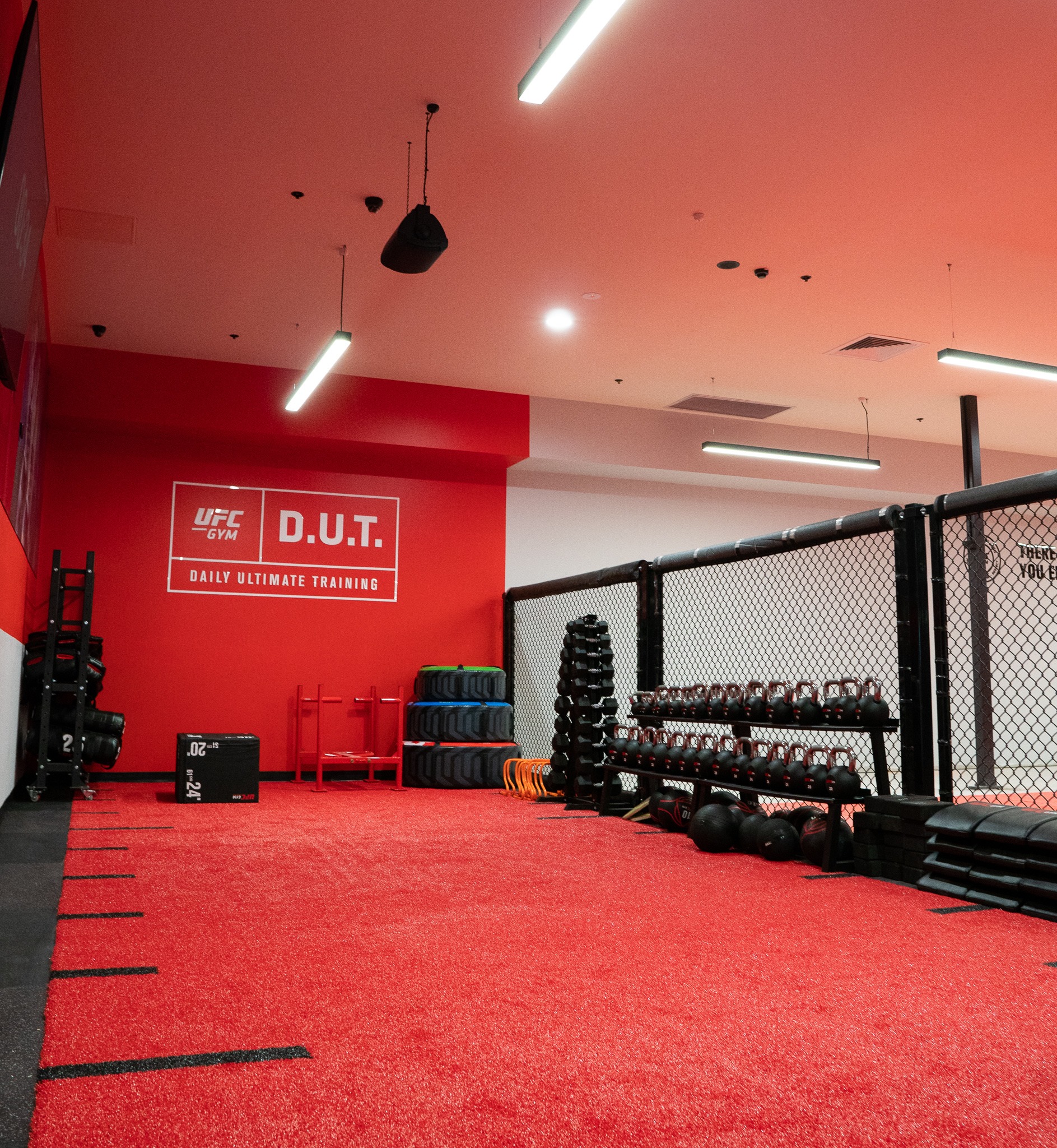 UFC Gym Rockdale