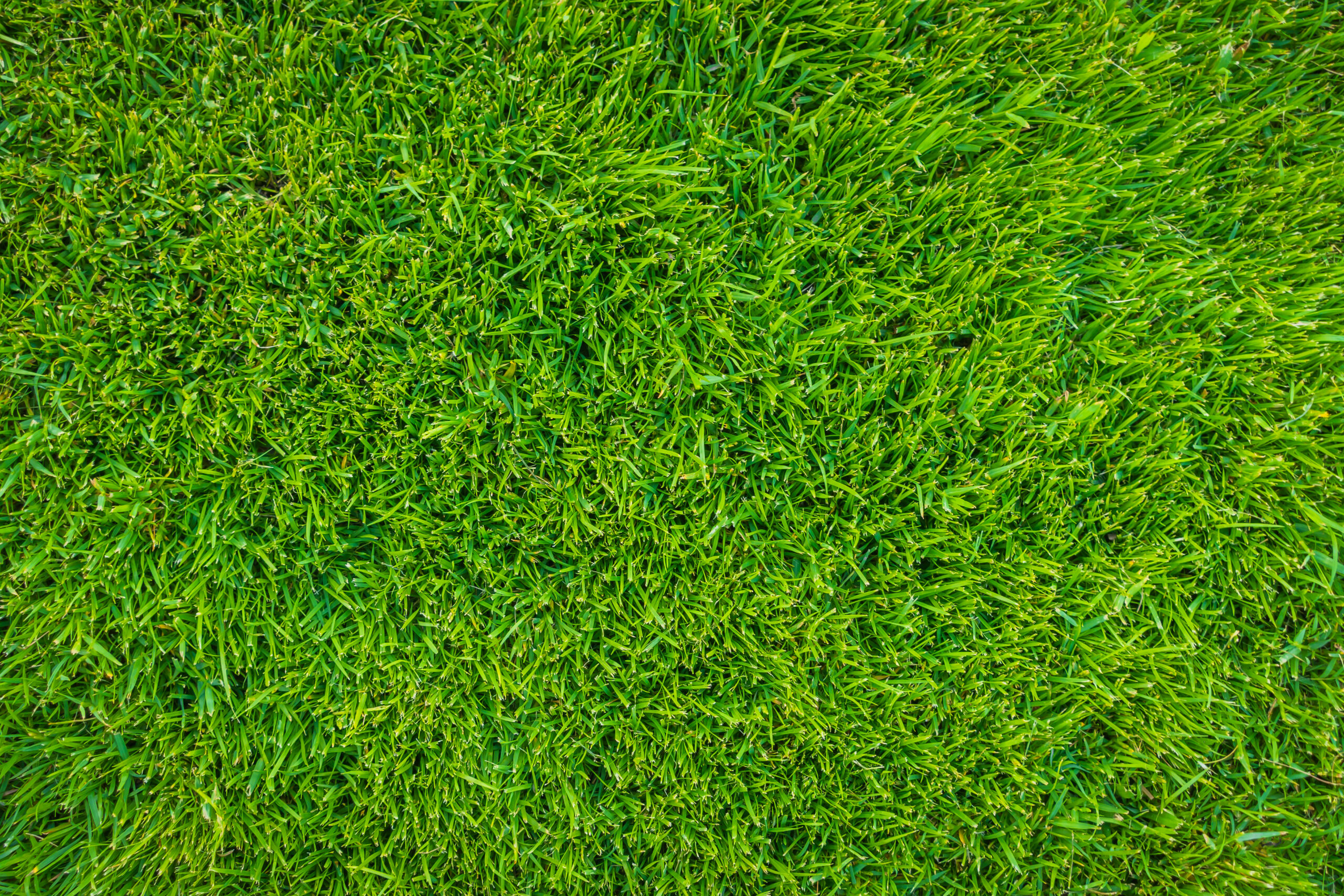Perris Artificial Grass