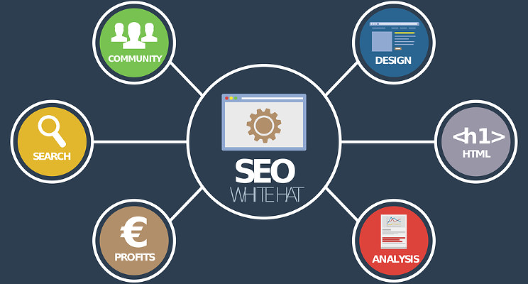 Professional SEO Agency In India