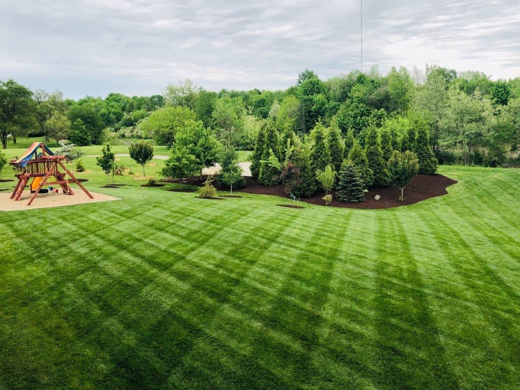 GreenPal Lawn Care of Seattle
