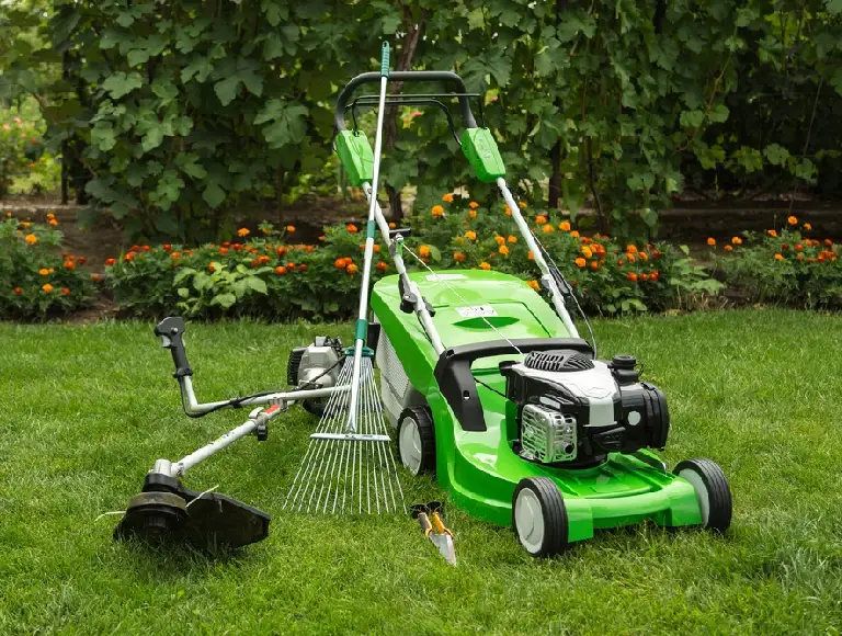 Professional & Affordable Lawn and Tree Care Services – &hellip;