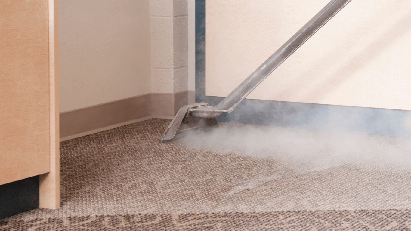 MDM Carpet & Upholstery Cleaning