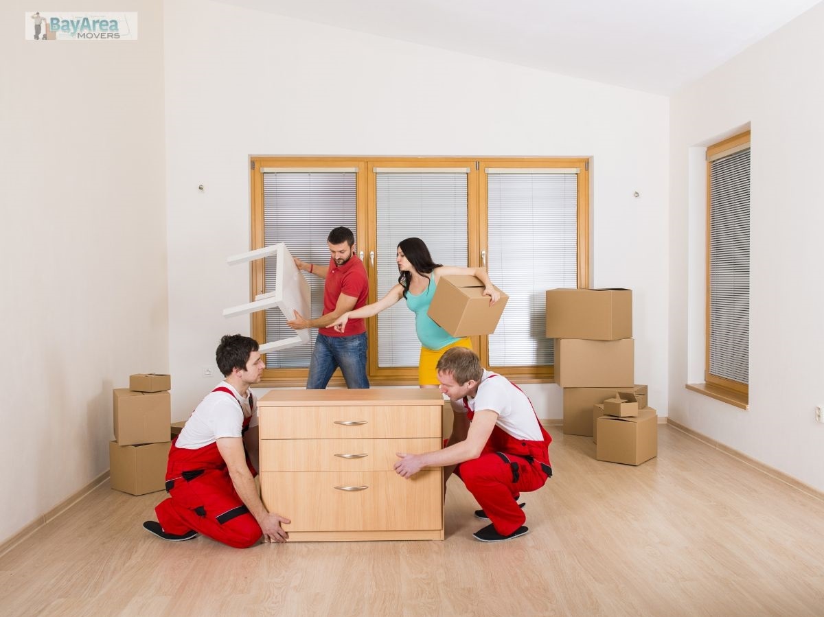 SF Bay Area Movers – Bay Area Movers