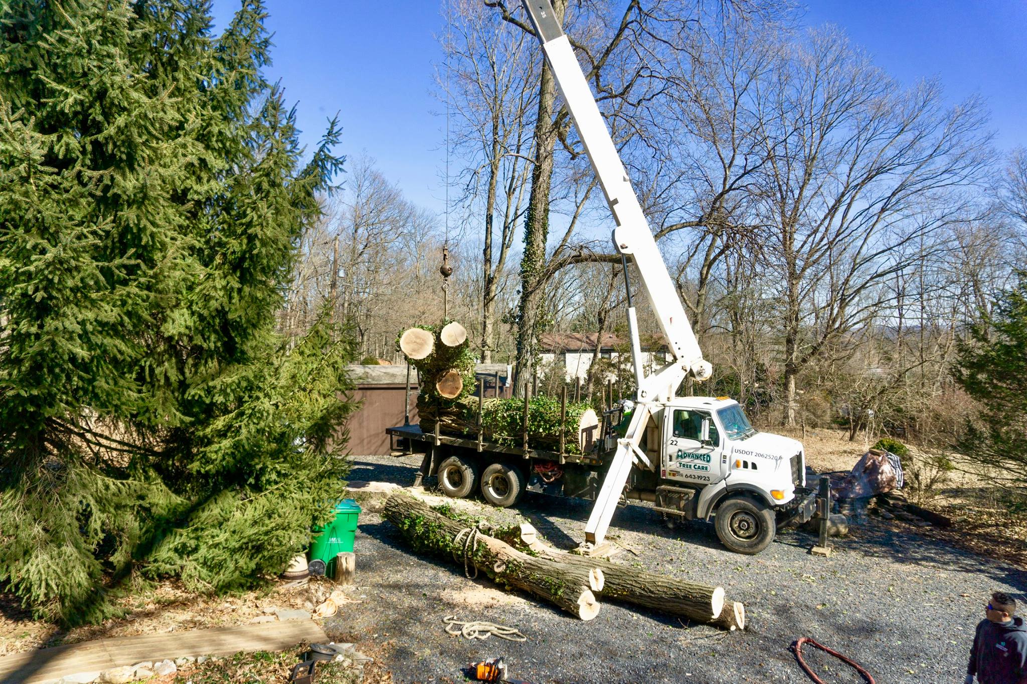 Advanced Tree Care