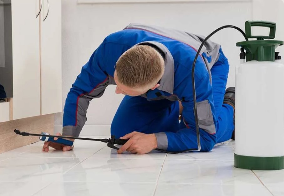 Outlook Pest Management
