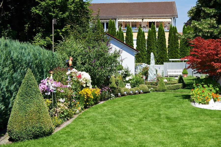 San Marcos Landscaping, Tree & Lawn