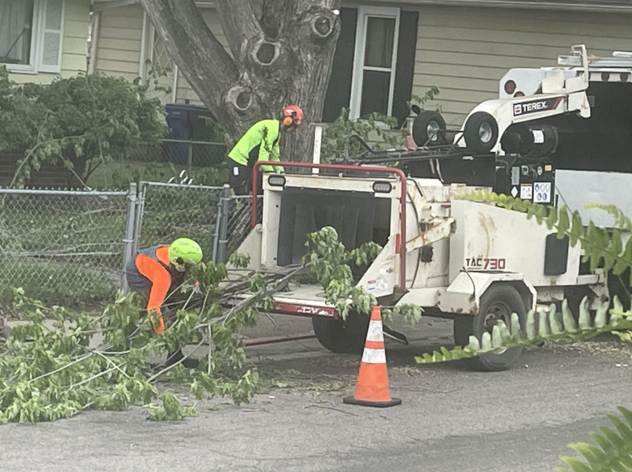 The Tree Removal Pros
