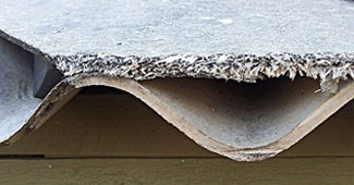 ARGUS ENVIRONMENTAL CONSULTANTS LLC.